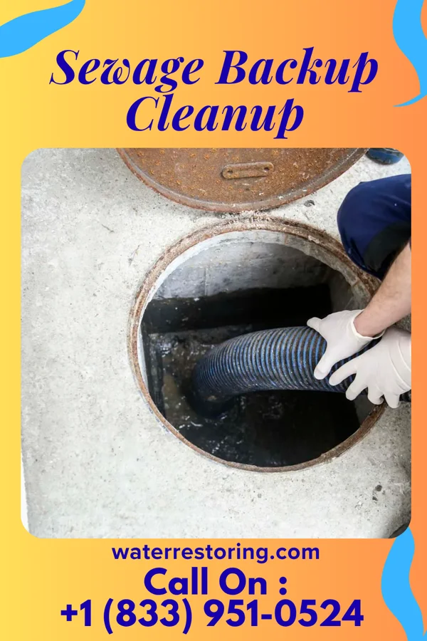 Sewage Backup Cleanup in Derby, CT